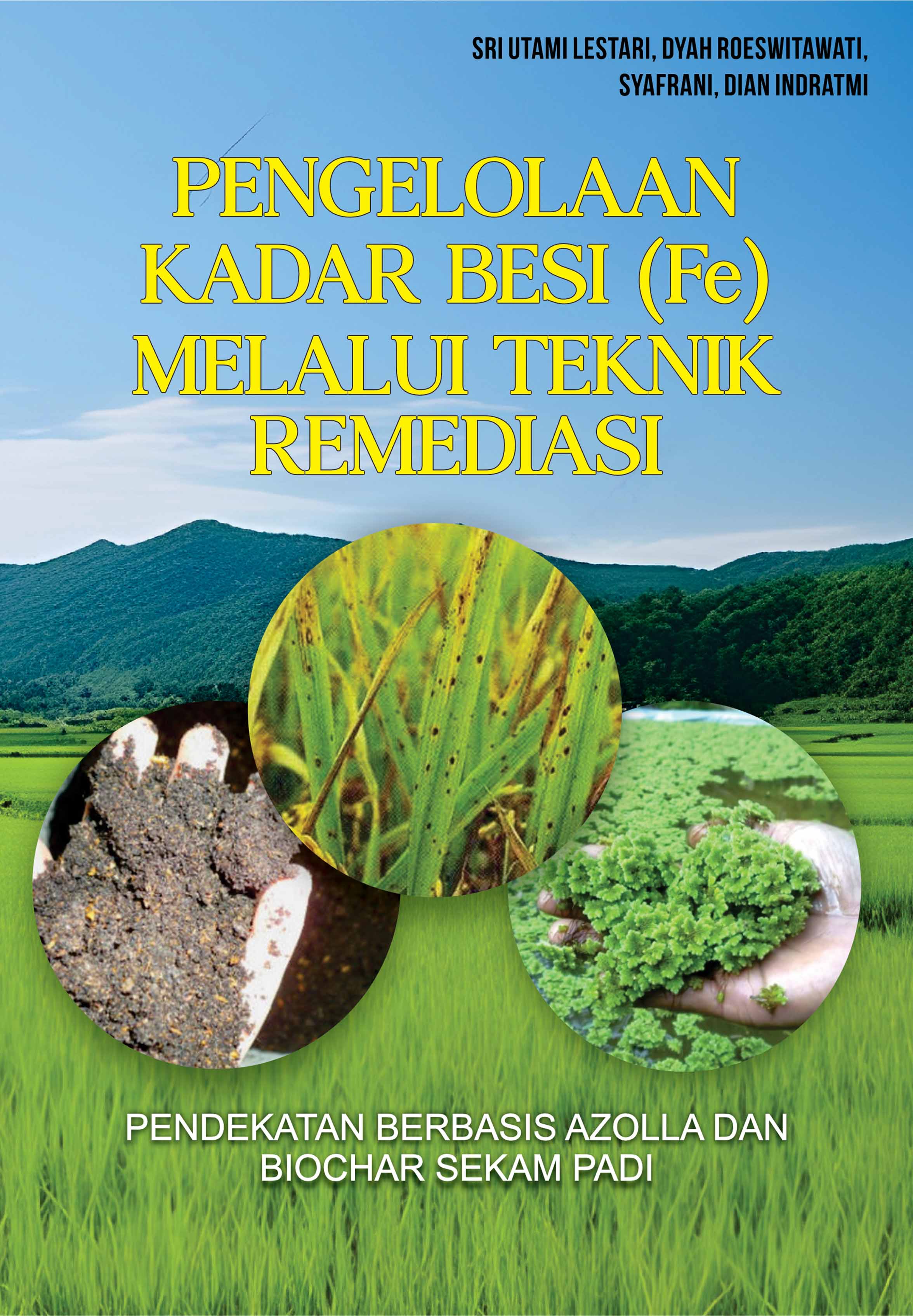 PENGELOLAAN KADAR BESI (Fe) MELALUI TEKNIK REMEDIASI: PENDEKATAN BERBASIS AZOLLA DAN BIOCHAR SEKAM PADI